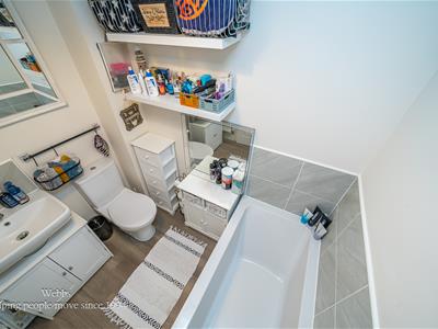 Picture 23